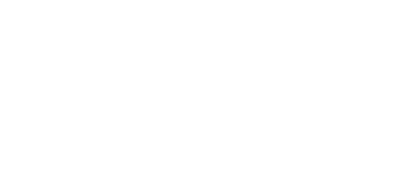 Ipsos Decor – Produse din Gips