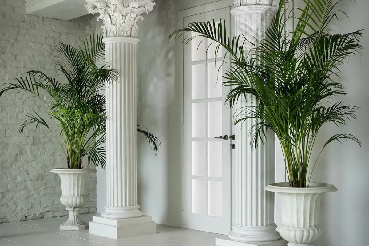 CREATOR: gd-jpeg v1.0 (using IJG JPEG v62), quality = 85